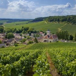 Cote-des-Bars-Viviers-sur-Artaut-village-vignoble-vert-cDidier-Guy