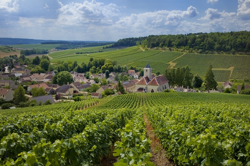 Cote des Bars Viviers-sur-Artaut village vignoble vert-(c)Didier-Guy