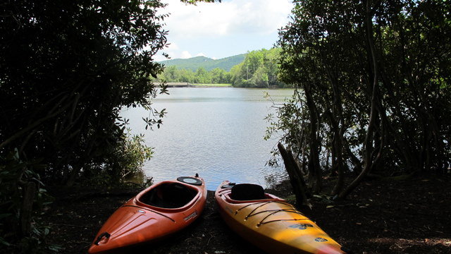 kayak