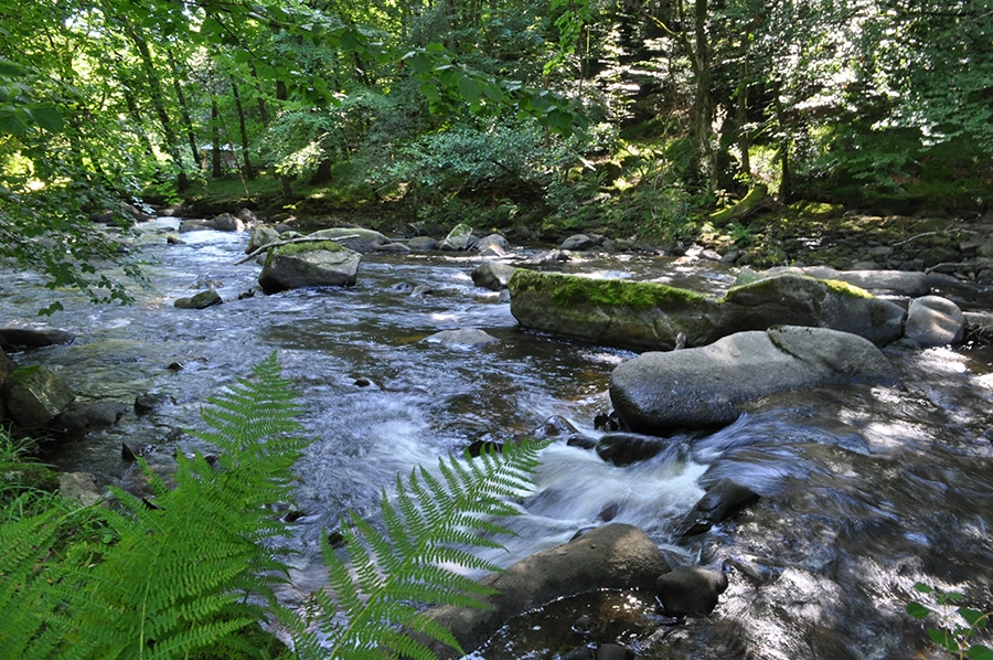 Corrèze