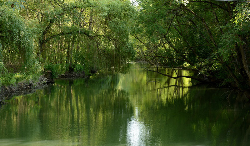 la Loire