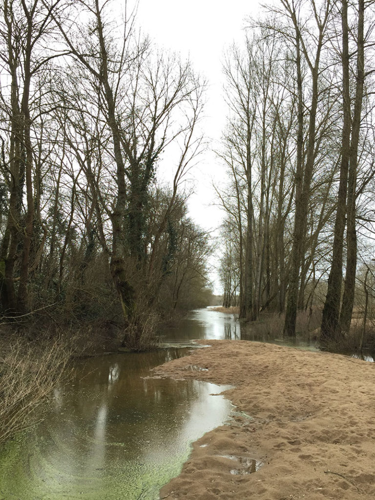 bord de loire