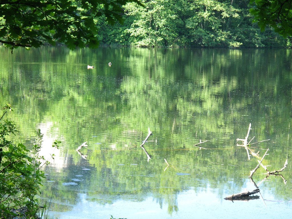 randonnée 27 mai 2013