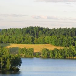 Le plateau des Millevaches