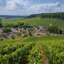 vignobles Visites de caves et dégustation de Champagne