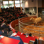 Marché aux bestiaux qui a lieu le mercredi - très renommé dans la région