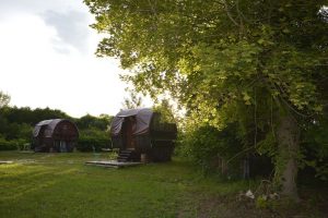 FR3 grand est village insolite en Champagne