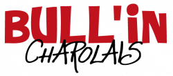 BULLIN_Logo