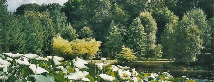 Arboretum Monédières